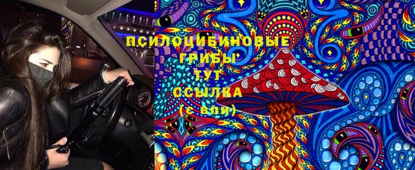 СК Алексин