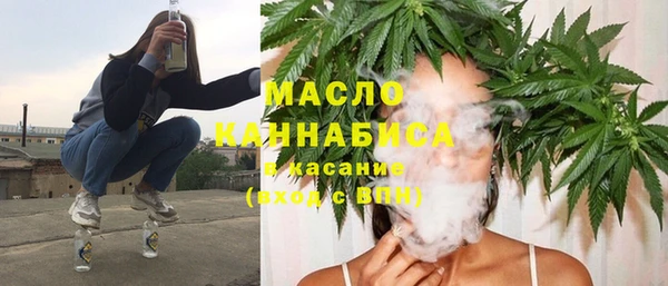 СК Алексин